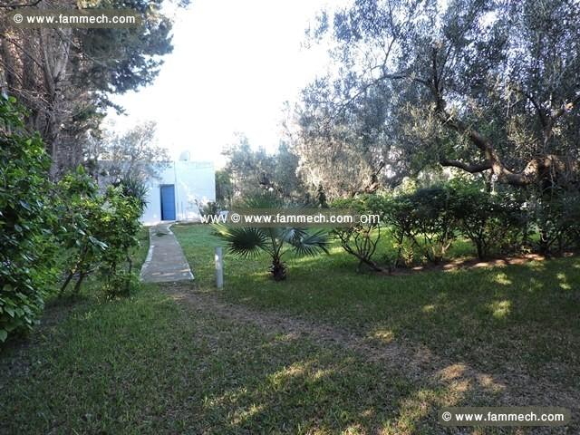 Dar Olivo AL2304 Hammamet