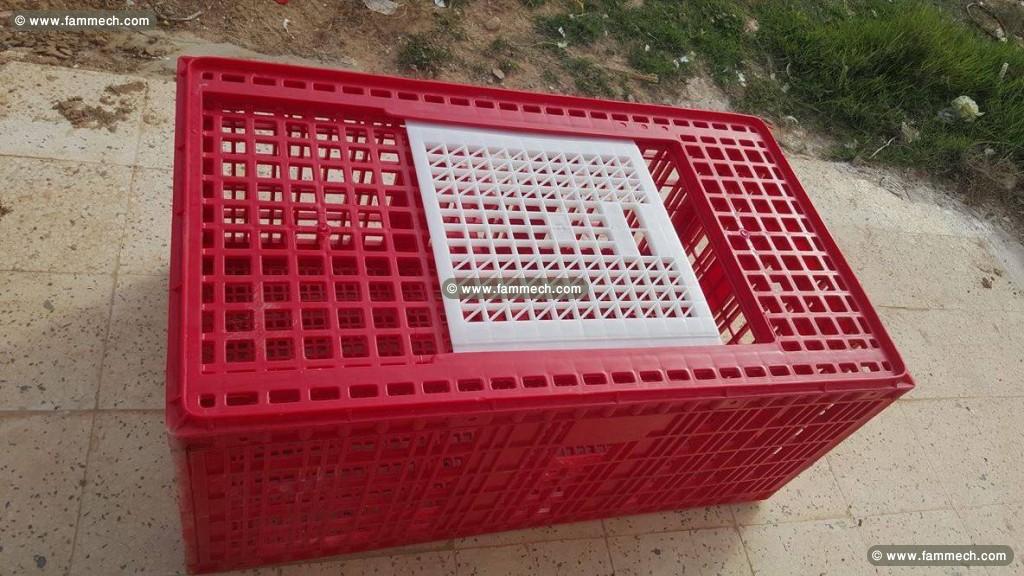 Des cageots à volailles de haute qualité à vendre