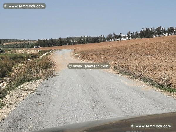 DES LOTS  DE  01 Ha    A  14km   TUNIS