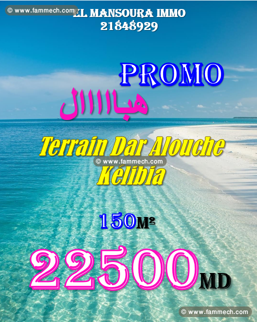 des lots a plage dar alouche kélibia