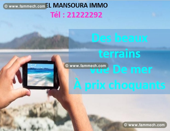 des lots de terrain au bord de mer 