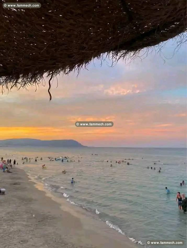 des lots de terrain près de la mer