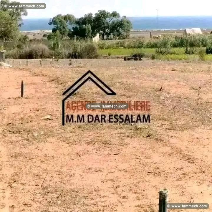 des lots de terrain près de la mer