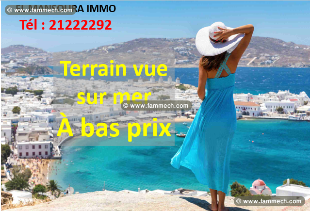 des lots de terrain vue de mer à prix choquants