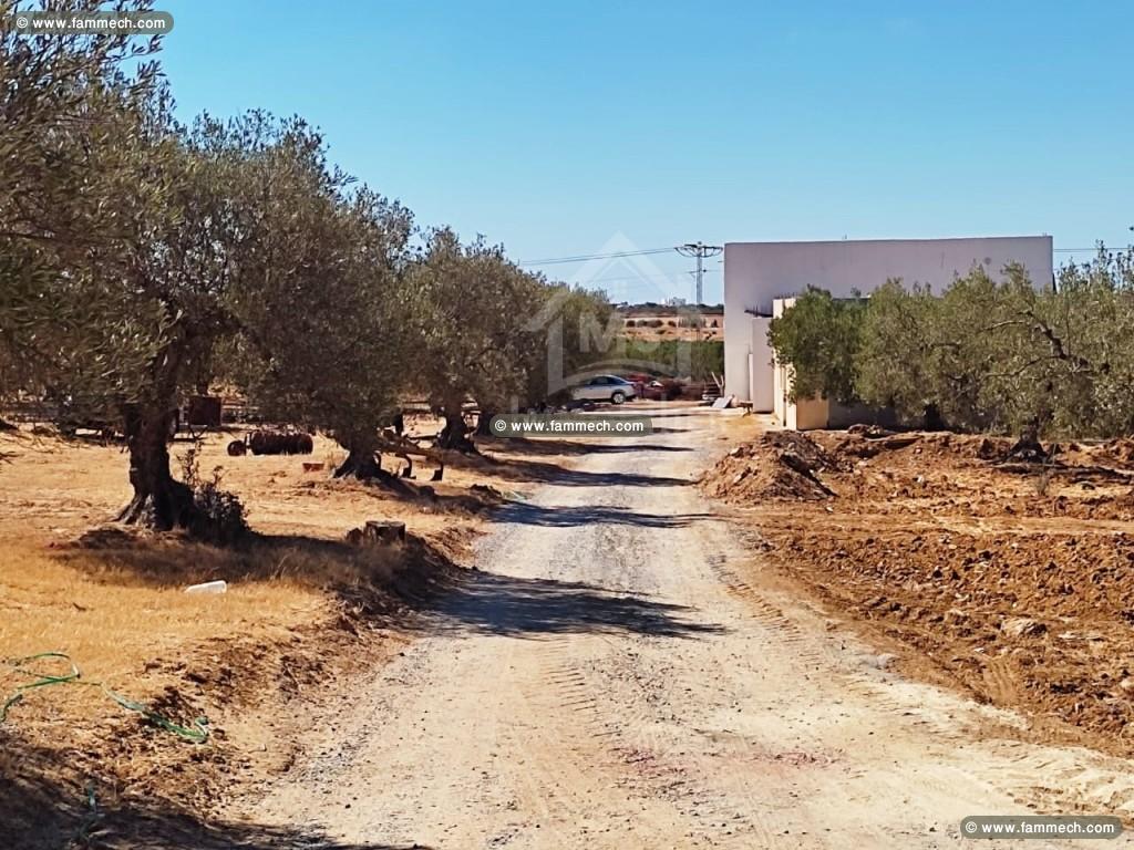 Des lots de terrains à vendre à 160 dt/m² 51355351