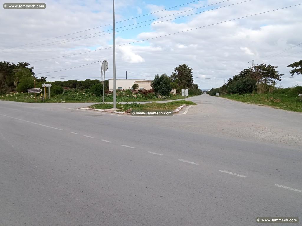des lots de terrains a vendre à kelibia-kerkouane