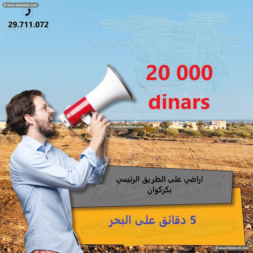 des lots de terrains a vendre à kerkouane-kelibia