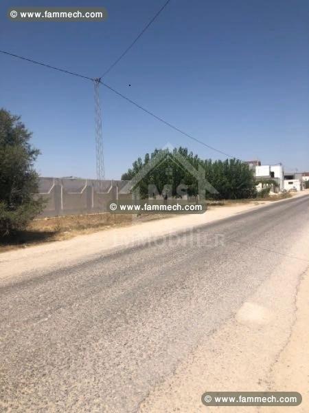 Des lots de terrains clôturés à vendre 51355351
