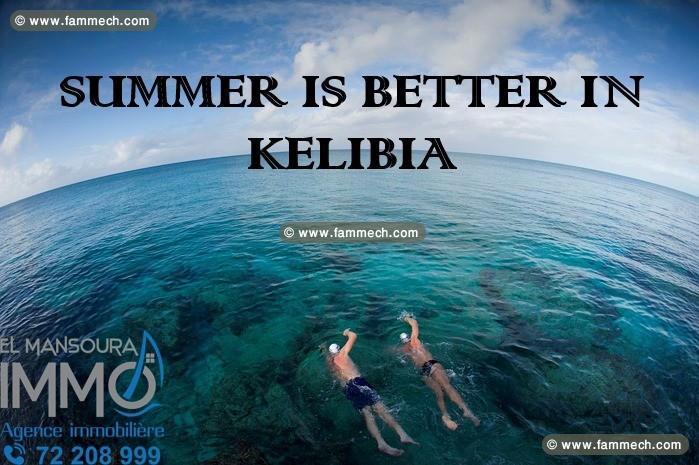 des lots prées de la plage a kerkouane_kélibia 