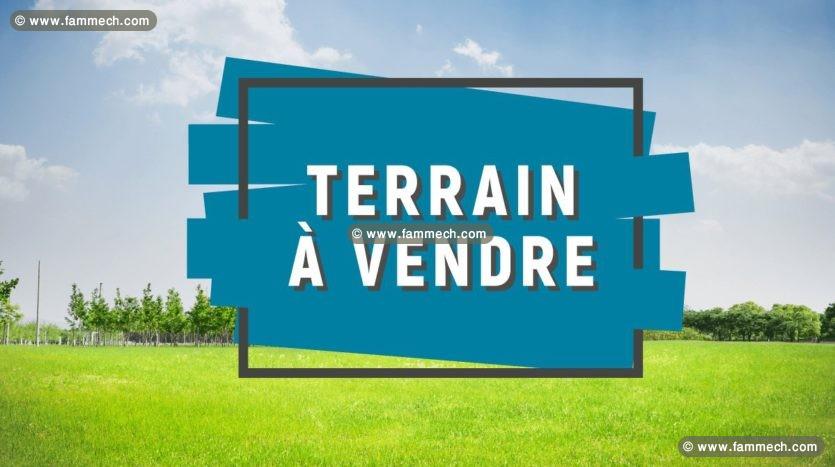 des terrains  akerkouane_kélibia a vendre 29711072