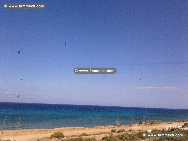 des terrains a dar allouche_kélibia a vendre 