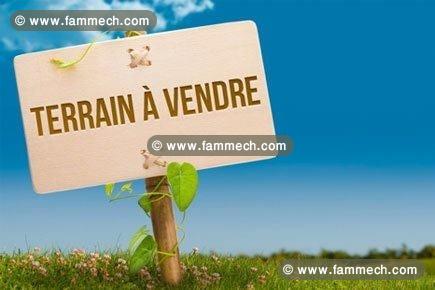 des terrains a dar allouche_kélibia a vendre 