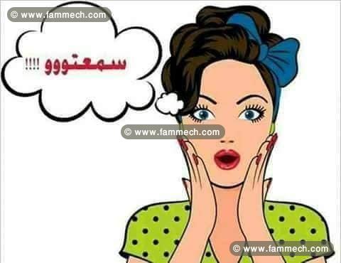 des terrains a dar allouche_kélibia a vendre 