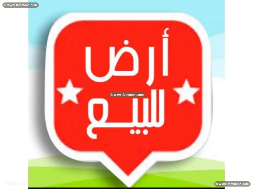 des terrains a kerkouane_kélibia a vendre 29711072