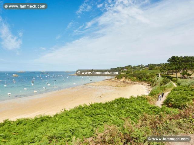 des terrains a kerkouane_kélibia a vendre 29711072