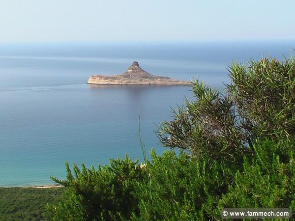 DES TERRAINS A RAF RAF PLAGE