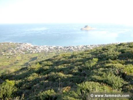 DES TERRAINS A RAF RAF PLAGE