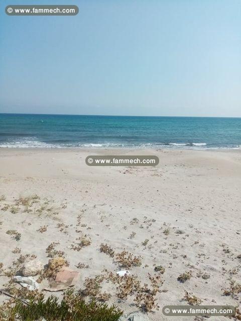 des terrains pieds dans l'eau à kelibia 