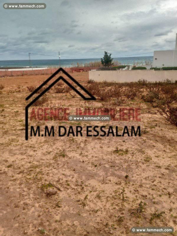 des terrains près de la mer