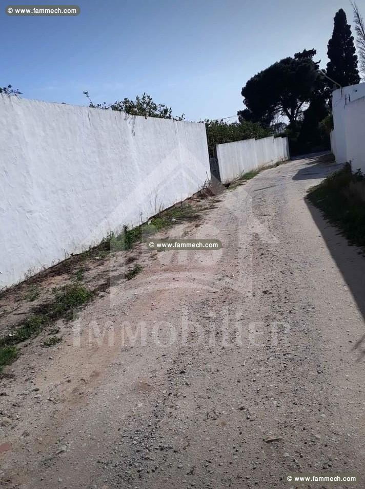 Deux lots de terrain à vendre à 530 dt/m² 51355351