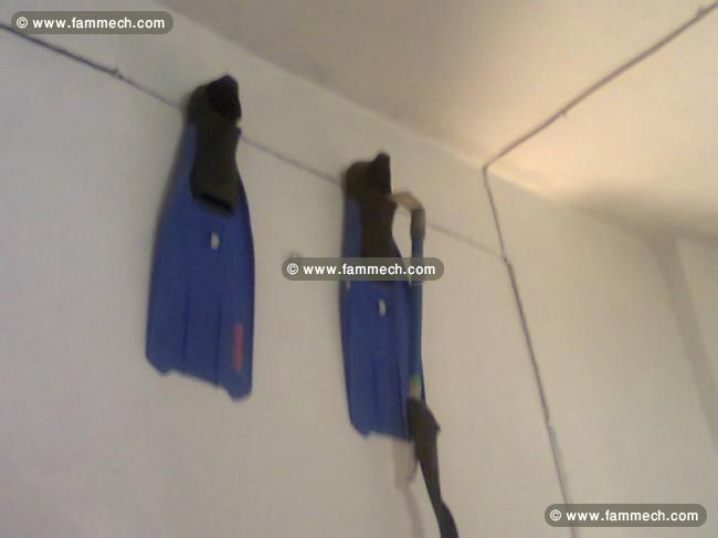 Deux palme mares comme neuve