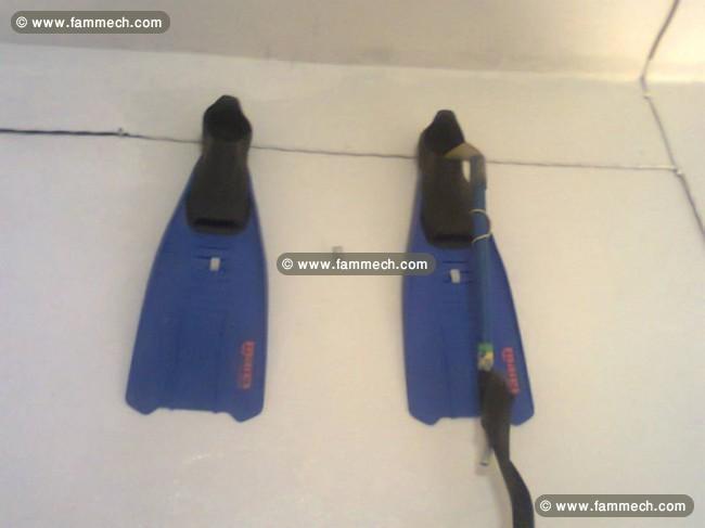 Deux palme mares comme neuve