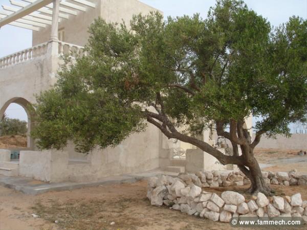 Djerba, villa 2 CC séjour, plage à 2000m