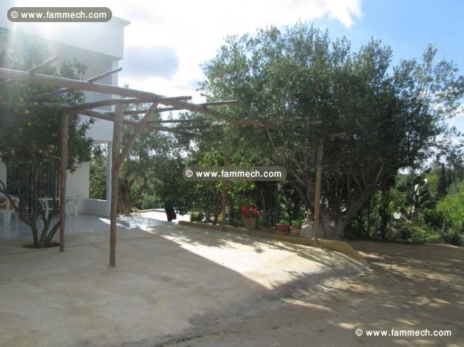 Duplex de compagne sur 1500m² à 10 min de Hammamet