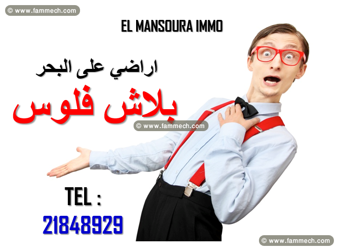 el mansoura immo met en vente un beau terrain