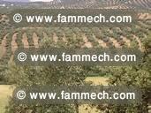 FERME    DE  17 Ha