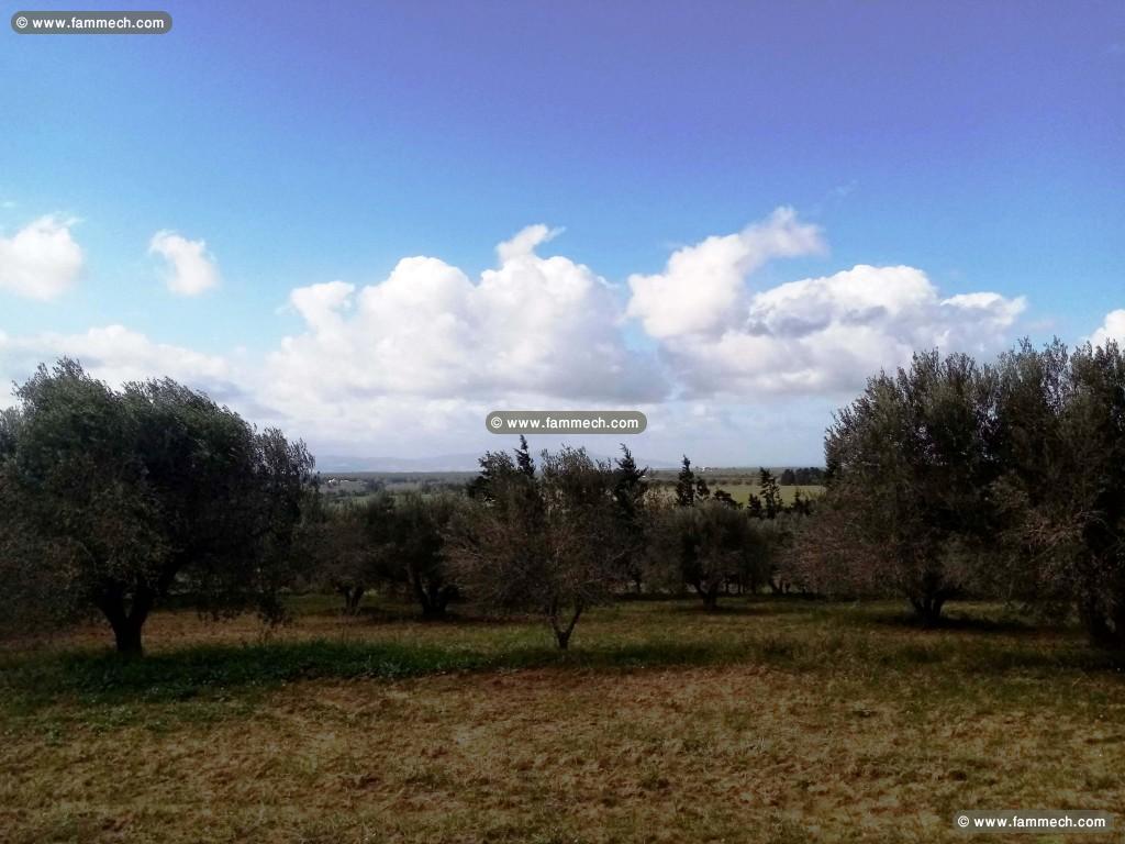 Ferme à Badar