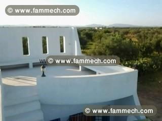 ferme adam AV775 hammamet 