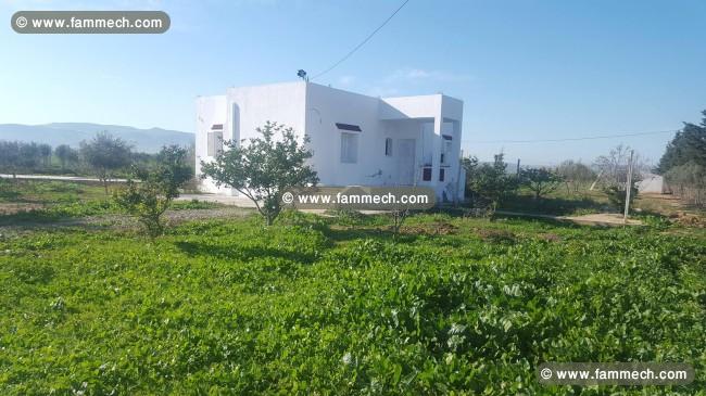 Ferme avec magnifique villa 