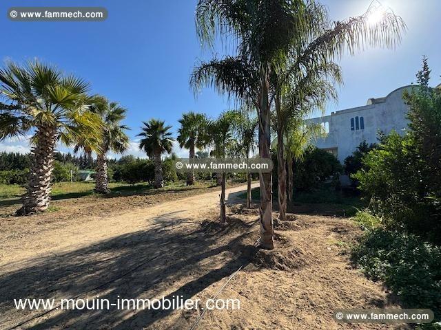 FERME BENI KHALLED 2 Beni Khalled T1225