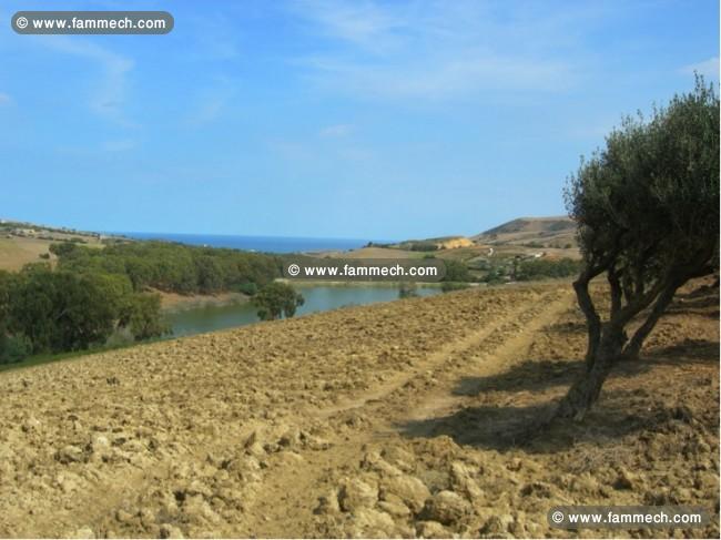 Ferme Cap Zebib ref T361 Bizerte 