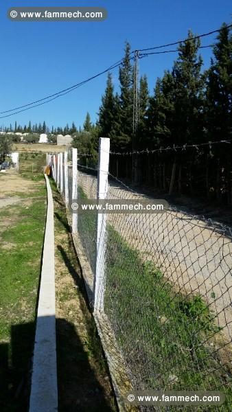 Ferme La Colombe T465 Mornag 