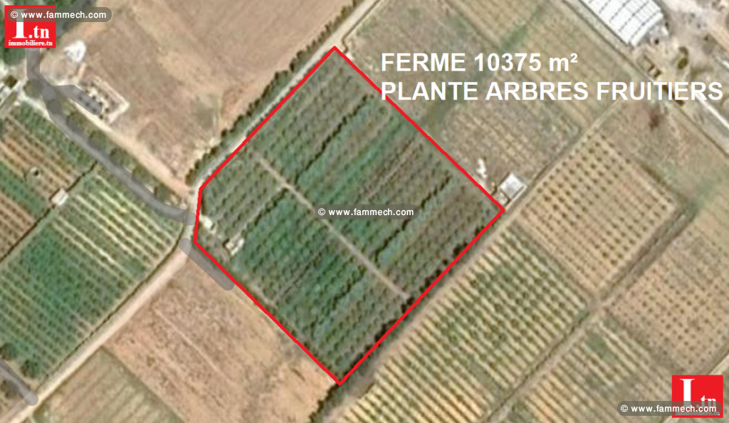 Ferme louhichi beni khalled 3m527