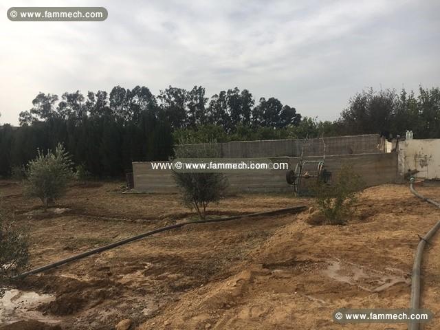 Ferme Nocturne T614 Hammamet 