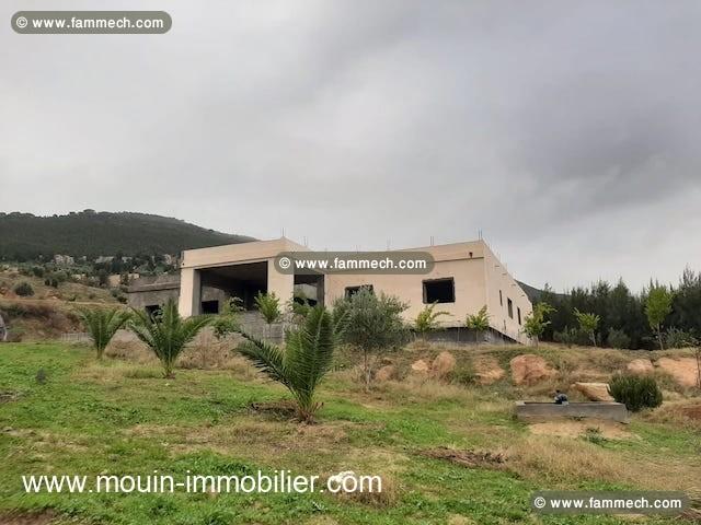Ferme Orchidée T1025 Hammamet 