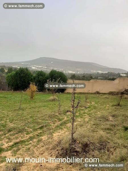 Ferme Orchidée T1025 Hammamet 