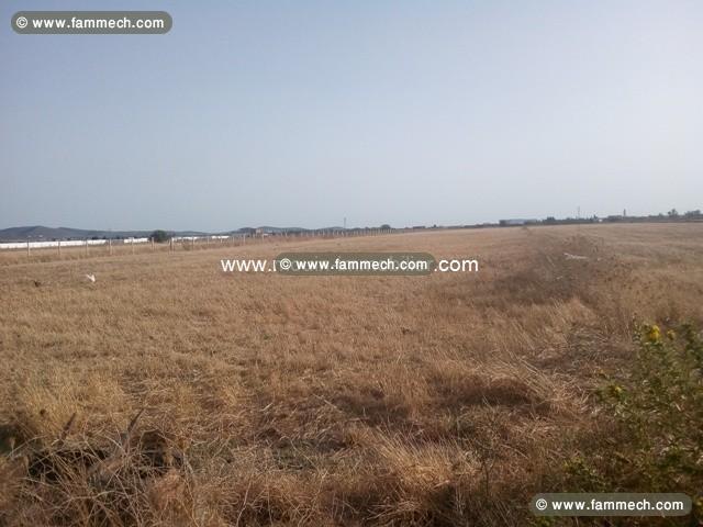 Ferme Sidi Thabet T651 Ariana