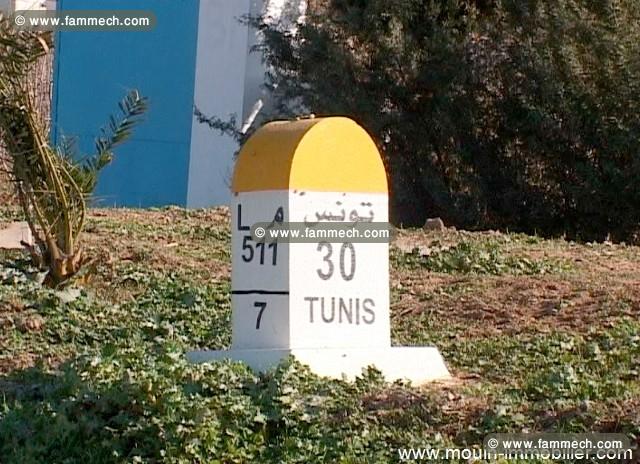 Ferme Tebourba ref T463 Manouba 