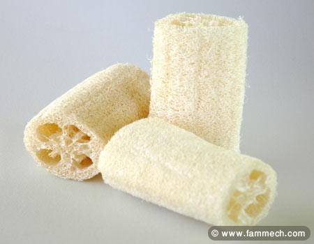 Graines de loofah