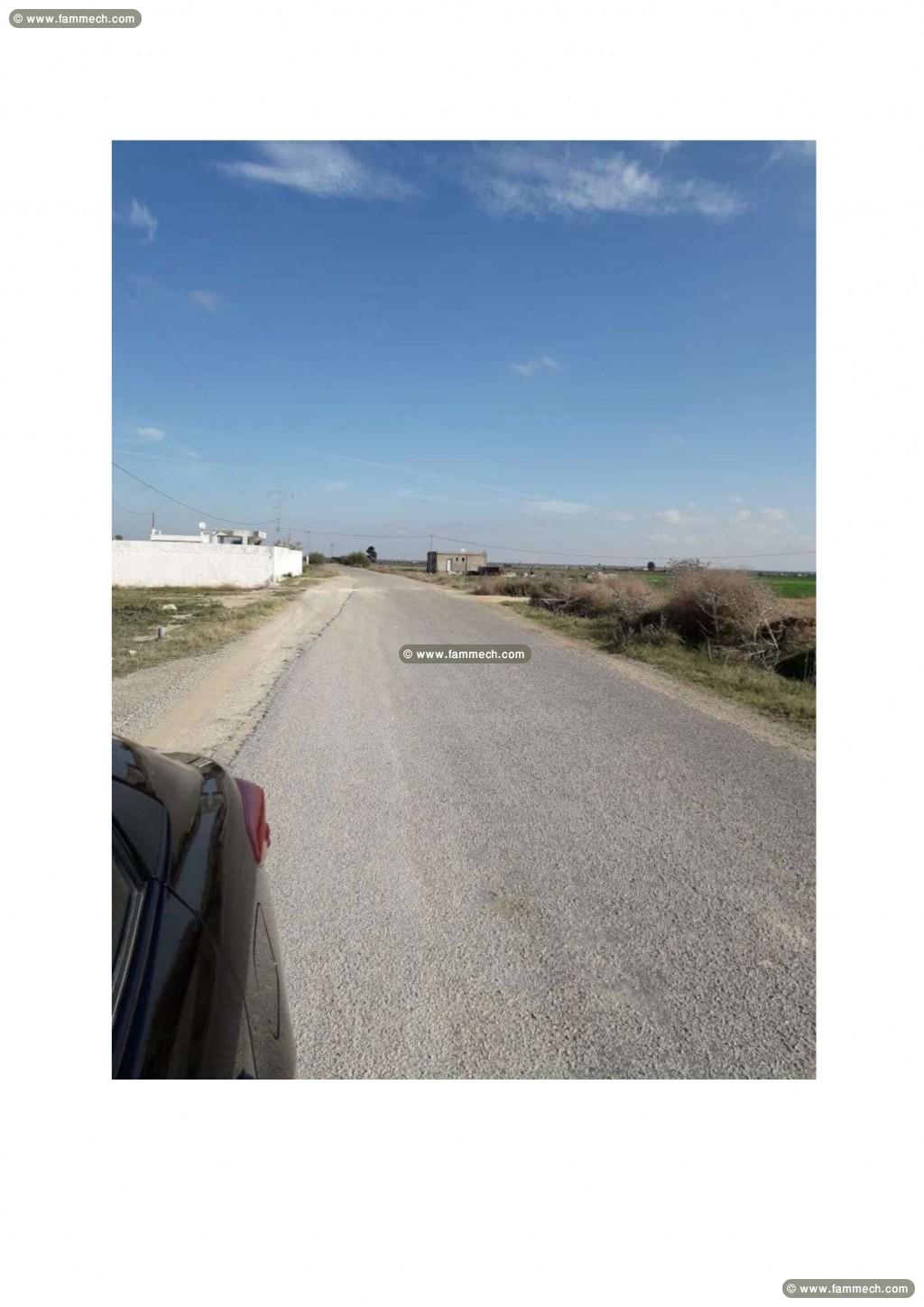 Grand Terrain - El Guatrania - 5km de Kairouan