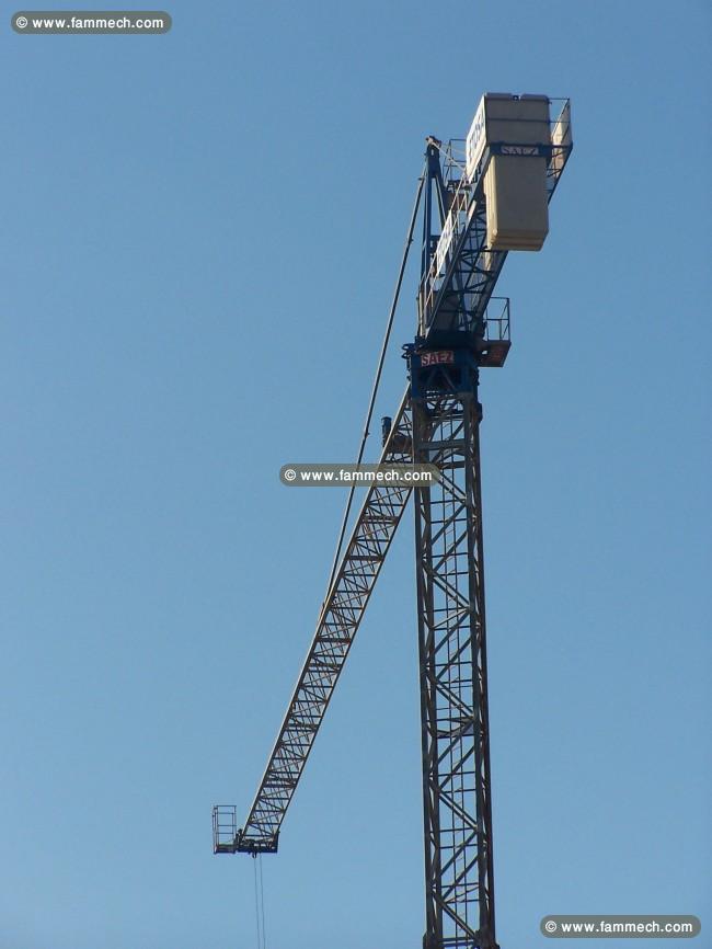 Grue à tour SAEZ 46
