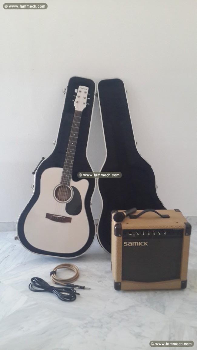 guitare electro acoustique
