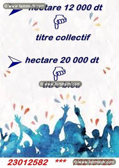 hectare 12 milles !!! hectare 20 milles 