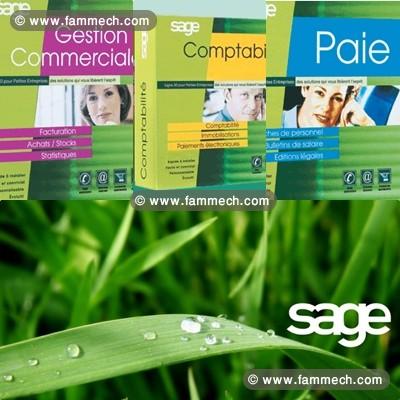 Installation et formation sage