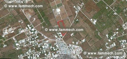 Jolie terrain Hammamet CS-5618f8