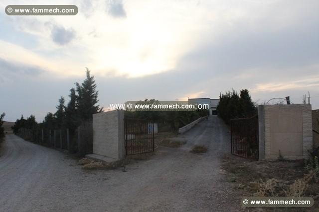 LA FERME 1 Zaghouan, à 50Km de Hammamet T911
